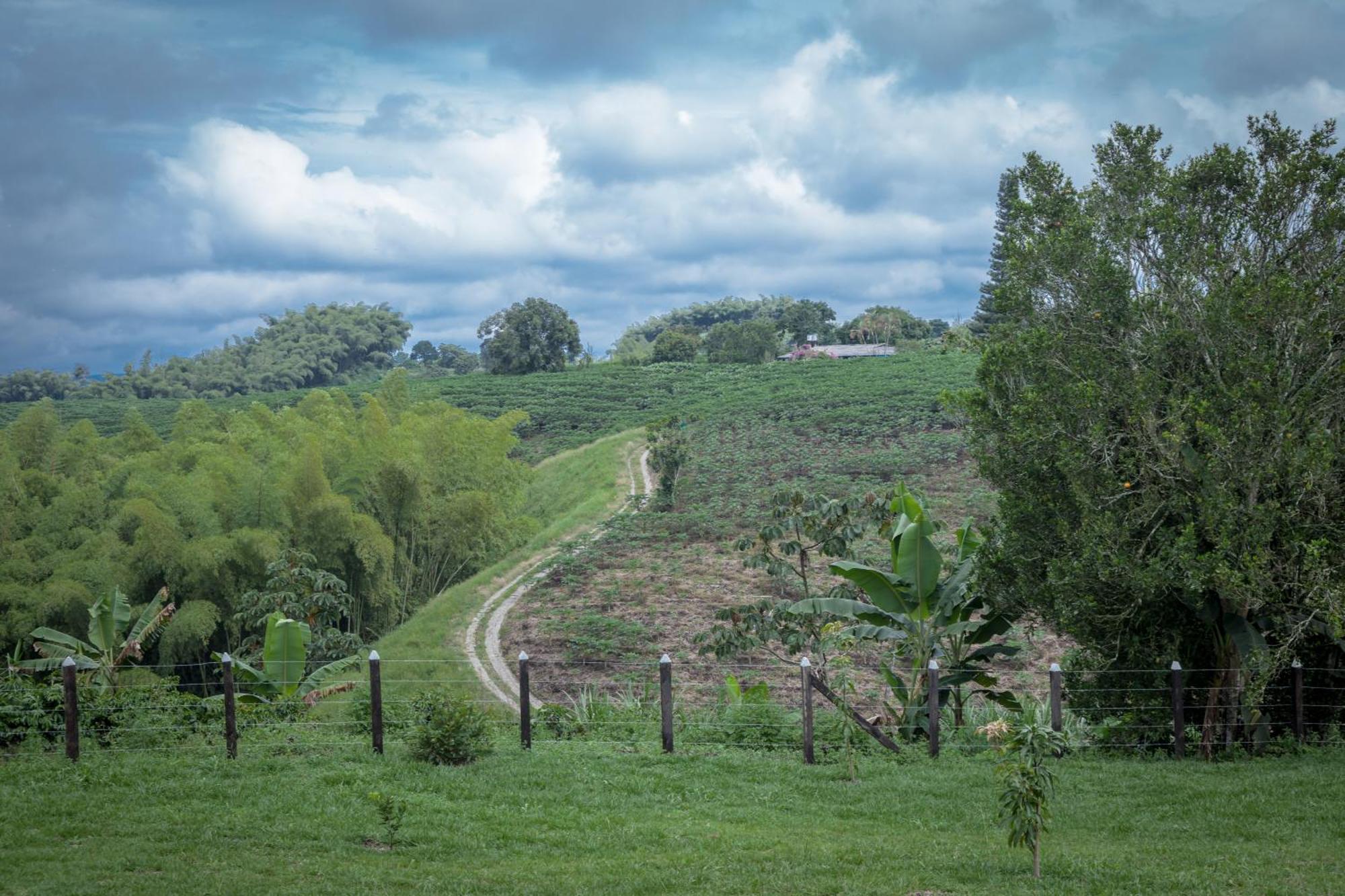 Finca Hotel Heron Quimbaya Bagian luar foto